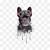 黑色小狗-空若网 黑色小狗-空若网