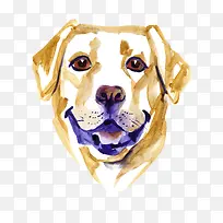 卡通可爱小动物装饰设计动物头像-空若网 卡通可爱小动物装饰设计动物头像-空若网