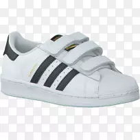 �˶�Ь���ϴ�˹�������ǰ��ϴ�˹-������