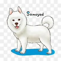 手绘可爱小狗-空若网 手绘可爱小狗-空若网