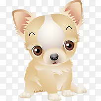 可爱小狗-空若网 可爱小狗-空若网