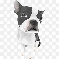 卡通可爱小动物装饰动物头像狗狗-空若网 卡通可爱小动物装饰动物头像狗狗-空若网