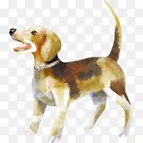 水彩小狗-空若网 水彩小狗-空若网