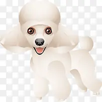 可爱小狗-空若网 可爱小狗-空若网