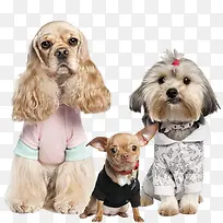 ����-������