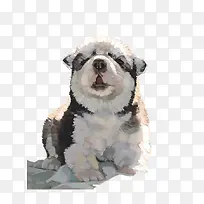 手绘卡通小狗-空若网 手绘卡通小狗-空若网