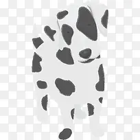 可爱卡通宠物斑点狗-空若网 可爱卡通宠物斑点狗-空若网