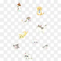 可爱小猫咪-空若网 可爱小猫咪-空若网