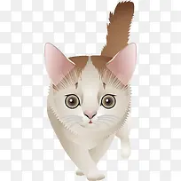 ��ͨ-������