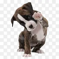 С������ɰ��ز�-������