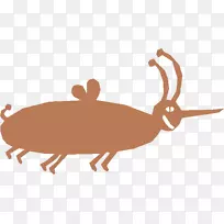 野兔,动物,犬科动物-空若网 野兔,动物,犬科动物-空若网