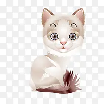 �ֻ�ɰ���ɫСè�ز�-������