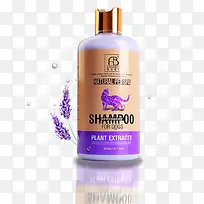 ����è��ԡ¶-������