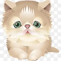 ��ͨ-������