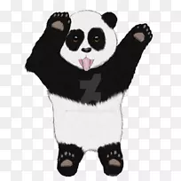 大熊猫食肉动物鼻子毛皮-熊猫-空若网 大熊猫食肉动物鼻子毛皮-熊猫-空若网