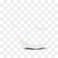 高清摄影室内飘扬的羽毛-空若网 高清摄影室内飘扬的羽毛-空若网