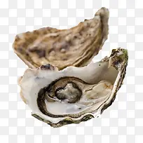 生蚝-空若网 生蚝-空若网