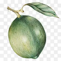 卡通手绘蔬菜装饰海报设计-空若网 卡通手绘蔬菜装饰海报设计-空若网