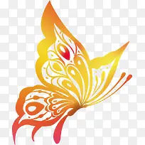 ��ɫ��ߺ���-������