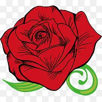 ʸ����ɫõ��-������