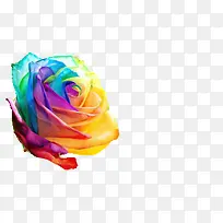 ��ɫõ��-������