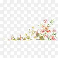 小花小草-空若网 小花小草-空若网