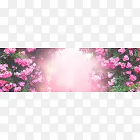 ����-������