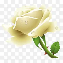 ��ɫõ�廨-������