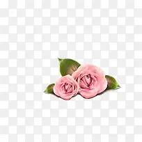 装饰图案-空若网 装饰图案-空若网