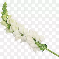 切花设计花束人工花卉珍珠-空若网 切花设计花束人工花卉珍珠-空若网