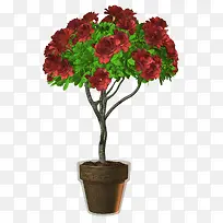 õ����-������