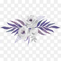 ˮ����ɫõ��-������