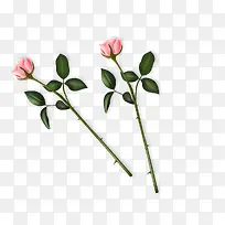 ���˽�õ�廨PNGʸ���ز�-������