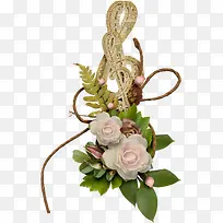 白色玫瑰花-空若网 白色玫瑰花-空若网