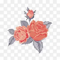 玫瑰花-空若网 玫瑰花-空若网