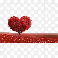 ���˽�-������