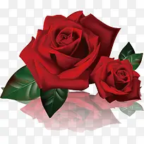 ʸ����ɫõ��-������