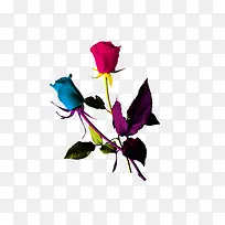 ��ɫõ��-������