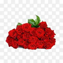 浪漫红色玫瑰-空若网 浪漫红色玫瑰-空若网