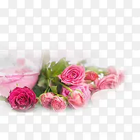 �ۺ�ɫõ��-������