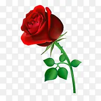 õ��-������