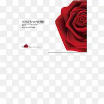 红色玫瑰-空若网 红色玫瑰-空若网