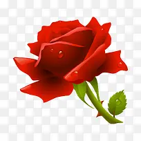 手绘玫瑰花朵-空若网 手绘玫瑰花朵-空若网