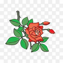 手绘玫瑰-空若网 手绘玫瑰-空若网