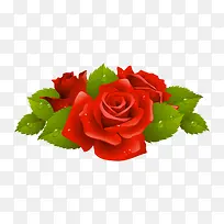 �ֻ�õ�廨��-������