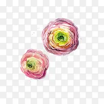 �ֻ�õ��-������