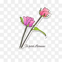 手绘玫瑰手传-空若网 手绘玫瑰手传-空若网