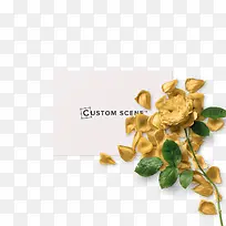 õ���ز�-������