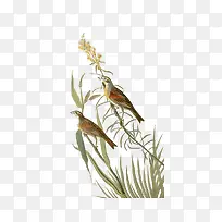 中国风的鸟和草水墨画-空若网 中国风的鸟和草水墨画-空若网