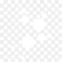 白色分析-空若网 白色分析-空若网